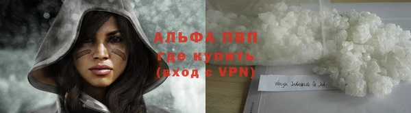 СК Алексеевка