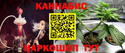 apvp Кунгур
