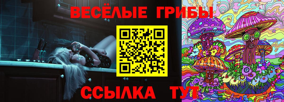 Псилоцибиновые грибы Psilocybine cubensis Дубна