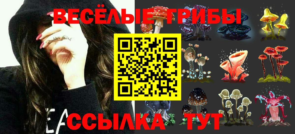 Дубна  Галлюциногенные грибы GOLDEN TEACHER  Вход с VPN 